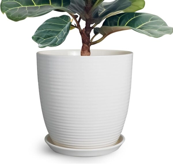 Ceramic Flower Pot (Large)